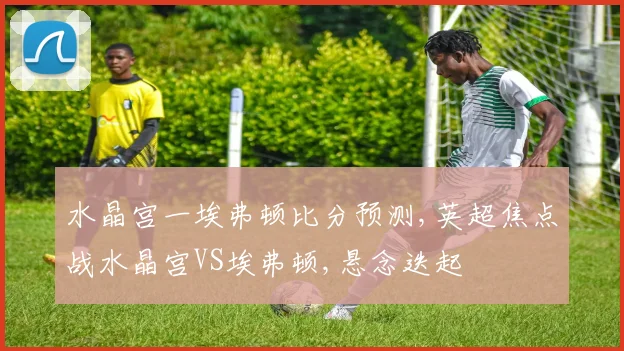水晶宫一埃弗顿比分预测,英超焦点战水晶宫VS埃弗顿,悬念迭起
