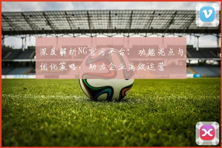 深度解析NG官方平台：功能亮点与优化策略，助力企业高效运营