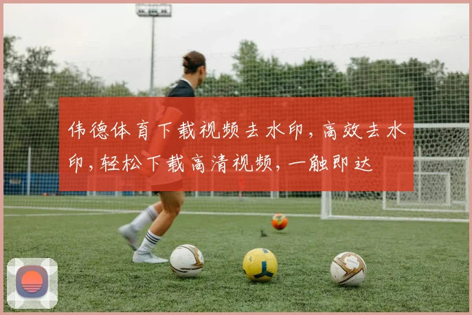 伟德体育下载视频去水印,高效去水印,轻松下载高清视频,一触即达